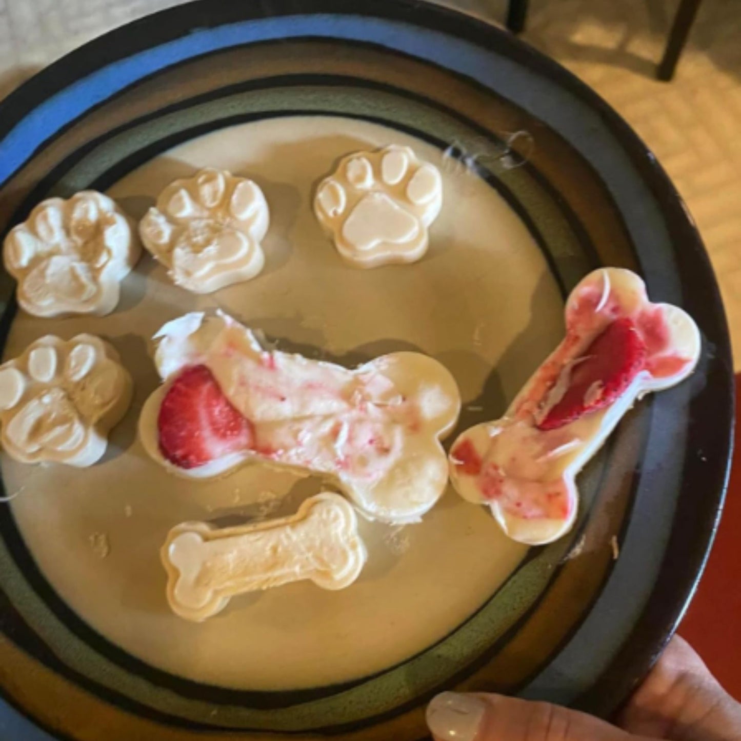 PupCakes DIY Homemade Dog Treat Kit (ENGLISH)