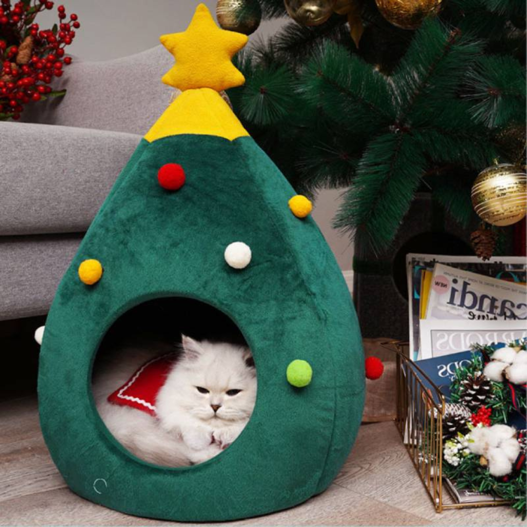 Kerstboom Mand