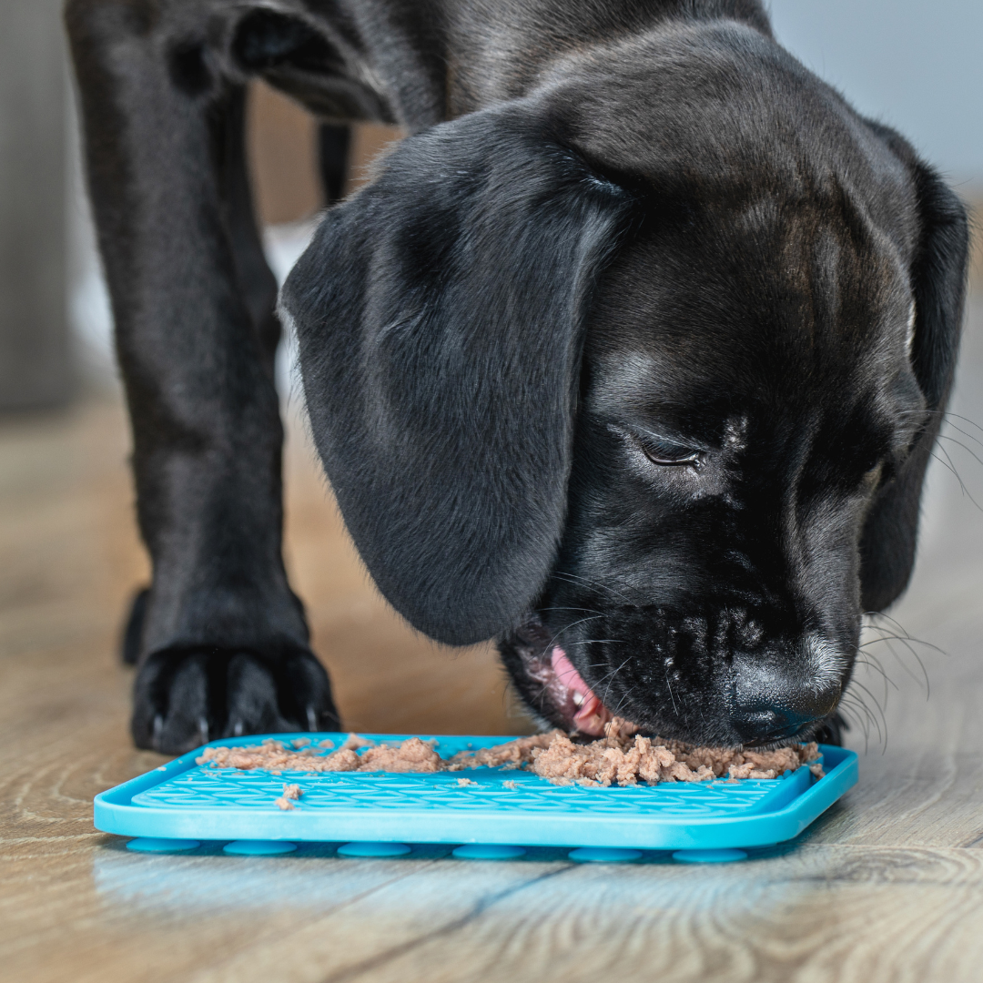 Pupcakes Lick Mat