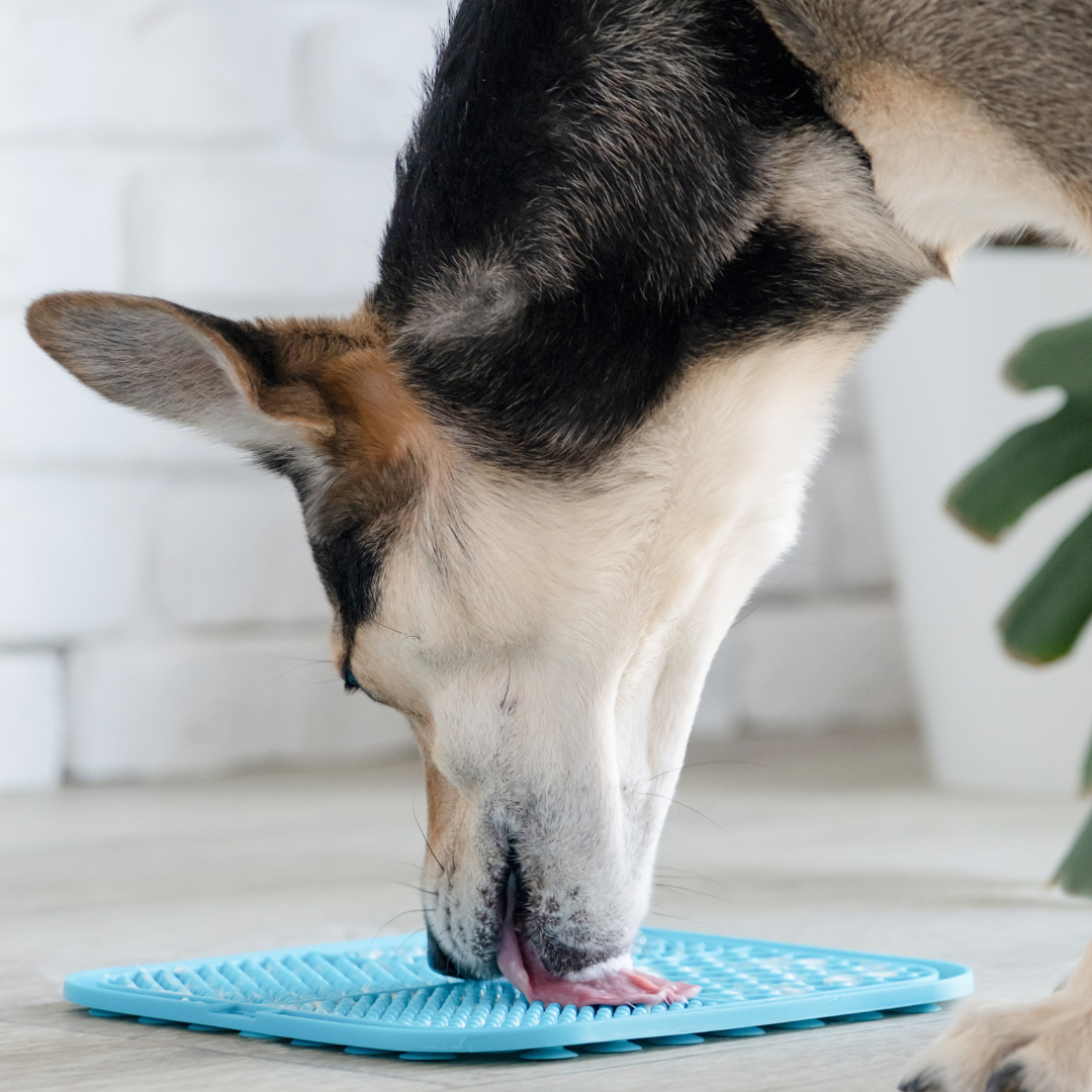Pupcakes Lick Mat