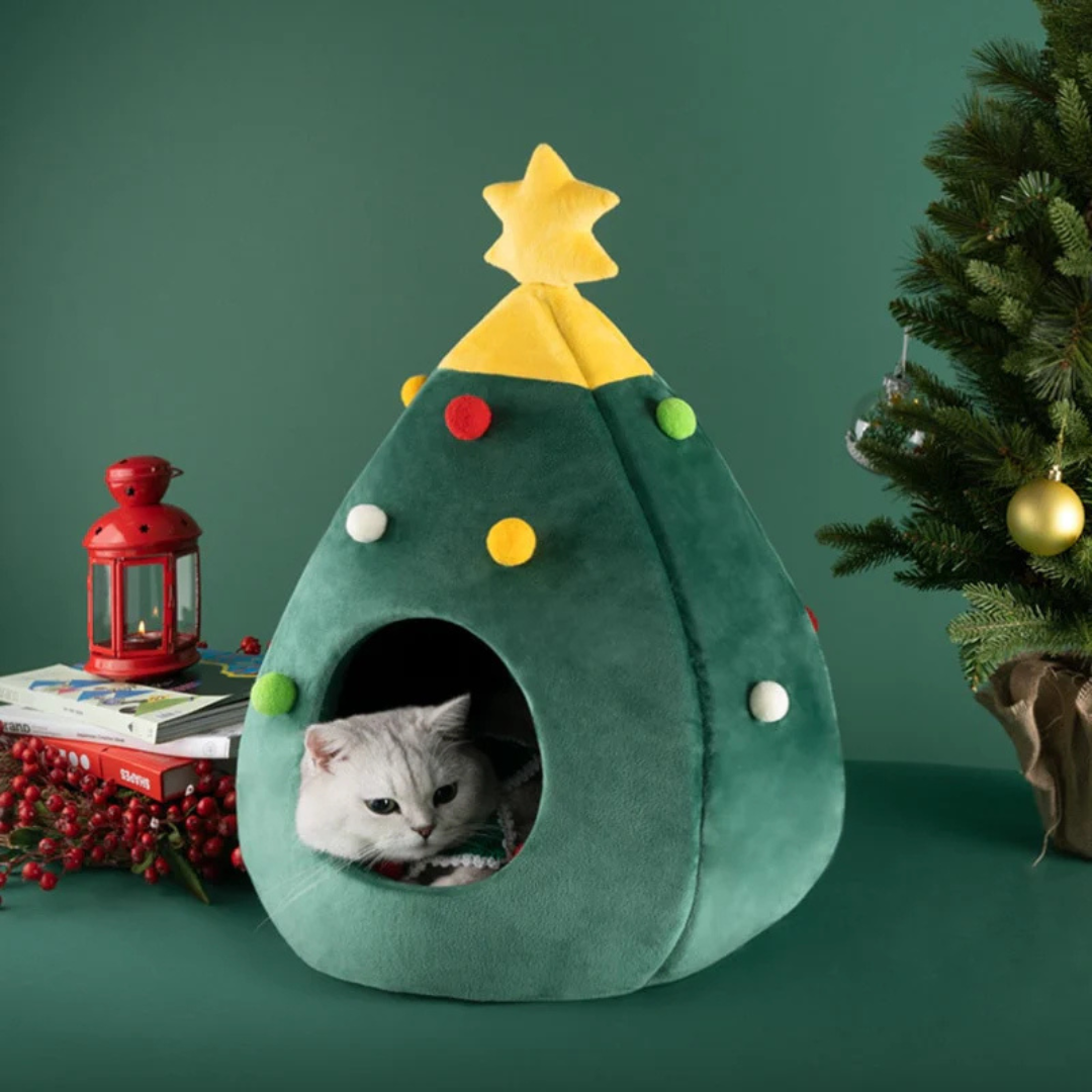 Kerstboom Mand