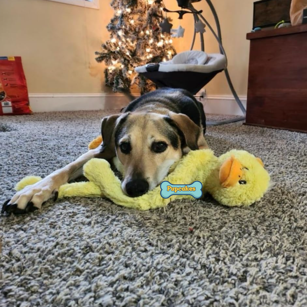 Calming Duck