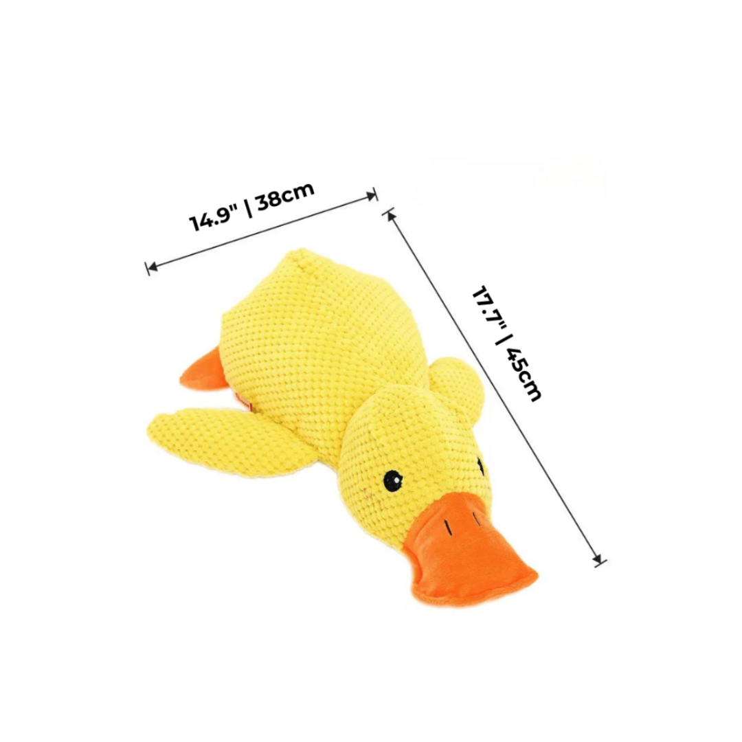 Calming Duck
