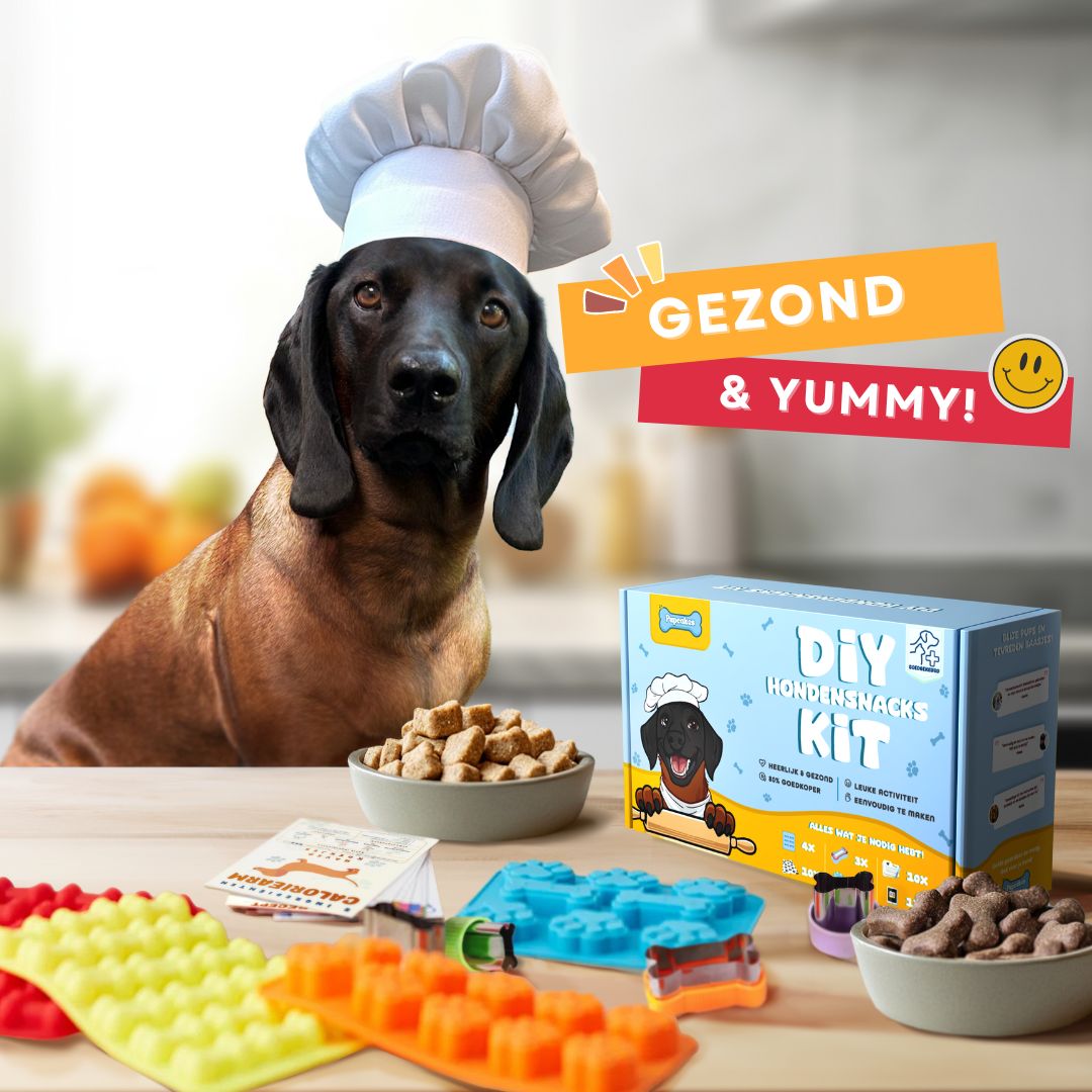 Pupcakes Homemade Dog Treats Kit
