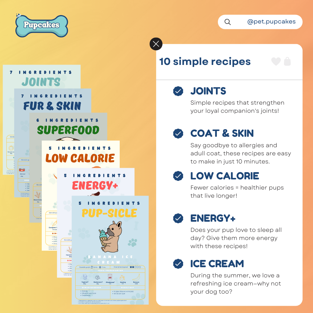 PupCakes DIY Homemade Dog Treat Kit (ENGLISH)