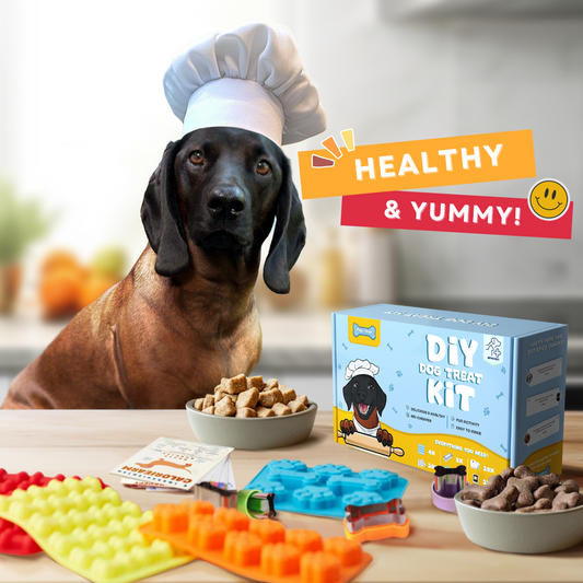 PupCakes DIY Homemade Dog Treat Kit (ENGLISH)