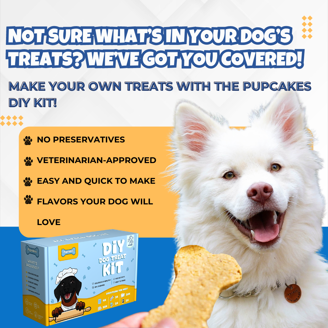 PupCakes DIY Homemade Dog Treat Kit (ENGLISH)