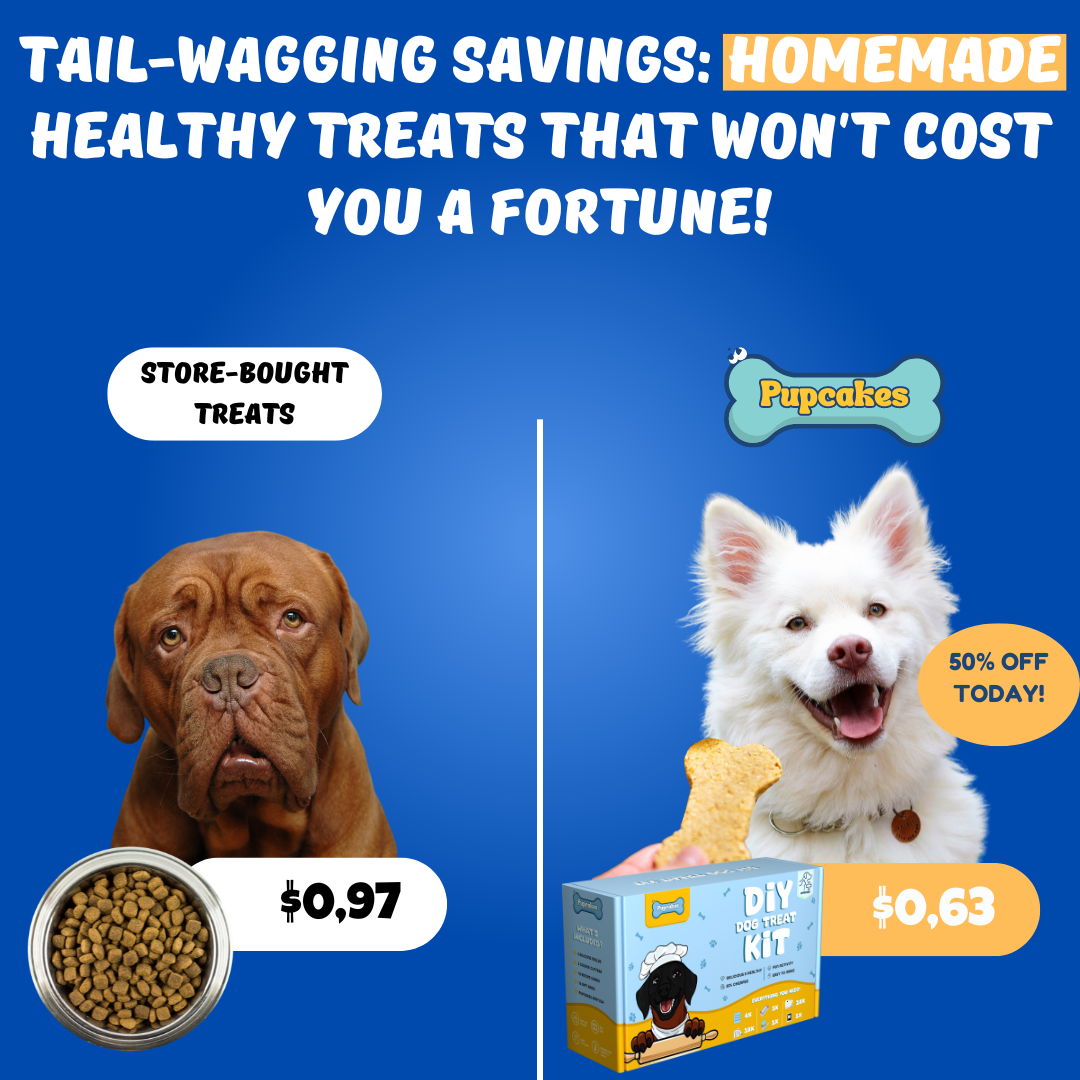 PupCakes DIY Homemade Dog Treat Kit (ENGLISH)