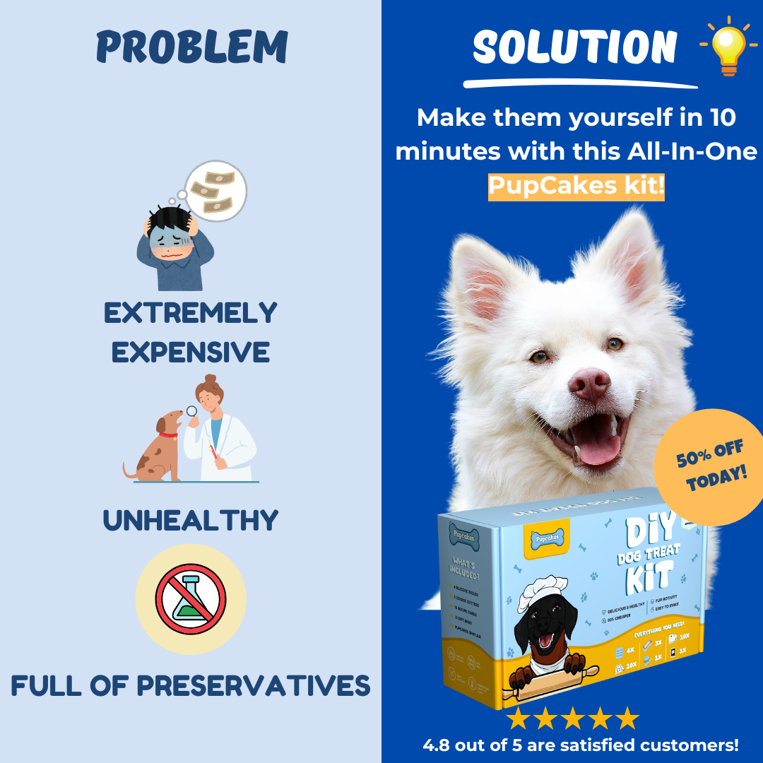 PupCakes DIY Homemade Dog Treat Kit (ENGLISH)