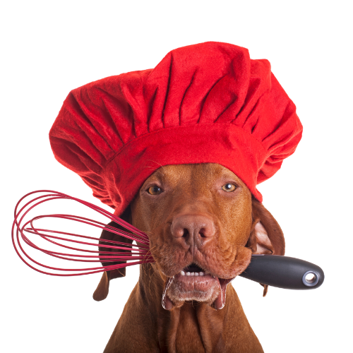 Zelf Hondenkoekjes Maken: Een Gids voor Gezonde en Heerlijke Beloningen voor Je Hond