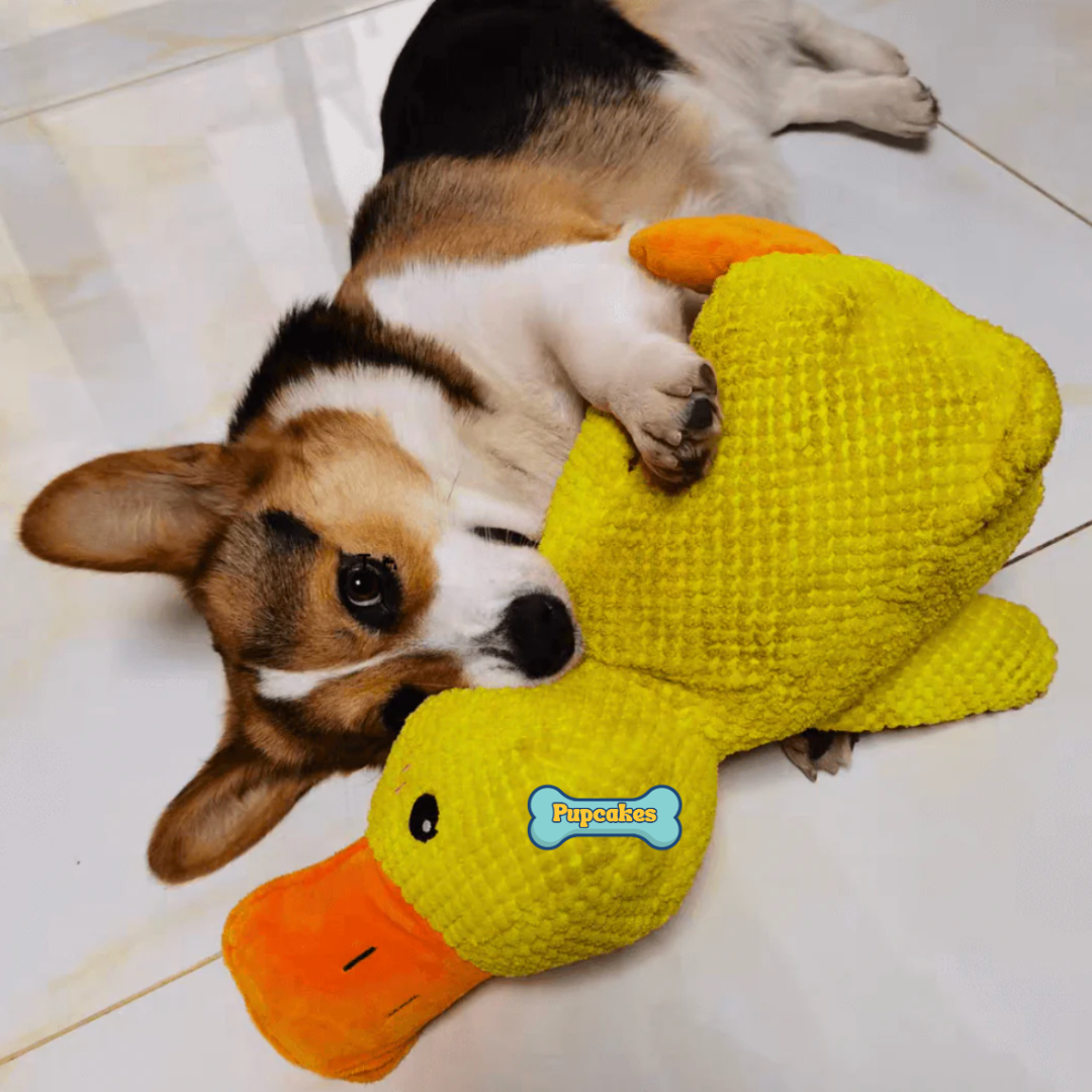 Calming Duck