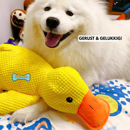 Calming Duck