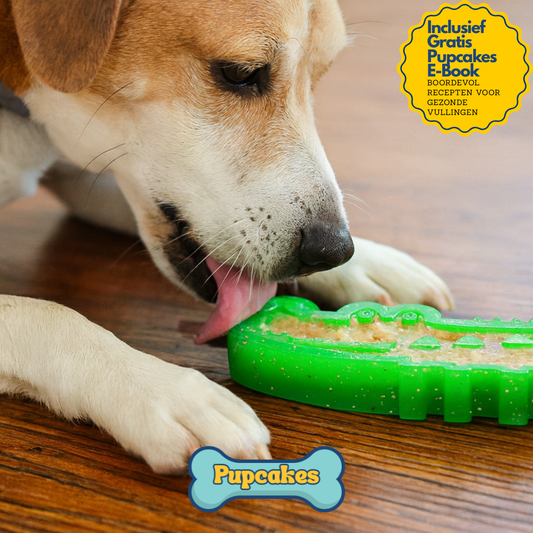 CrocTreat™